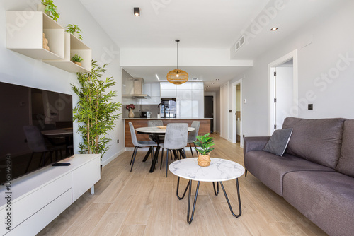 Bright open-plan apartment with kitchen, dining area, and cozy modern living room interior