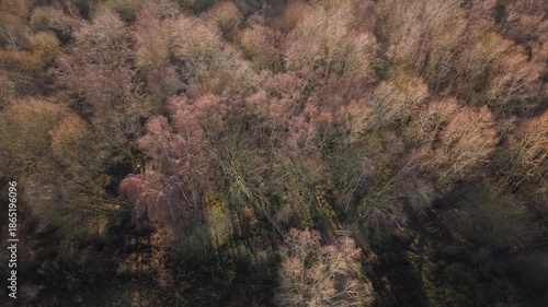 Golden Winter Forest Aerial Drone Footage over Gunpowder Park