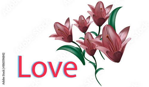 Love text with bouquet of pink lily flowers for romantic greeting card design