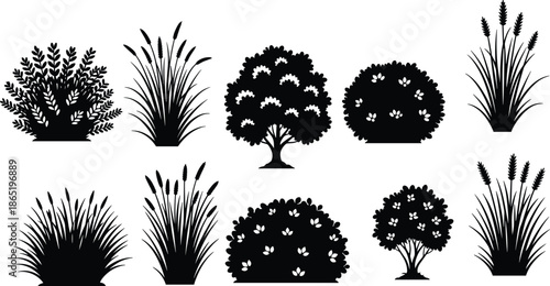PrintLandscape Garden Plants Silhouette Collection Vector, Decorative Bush, Shrub, and Ornamental Grass Icons, Park aWhite Graphic Design Set, Natural Environment Border