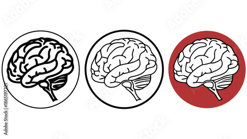 Three detailed human brain illustrations within circular frames showing varying styles and one colored red silhouette