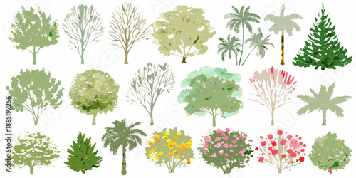 A collection of diverse tree types illustrated in a simple graphic style