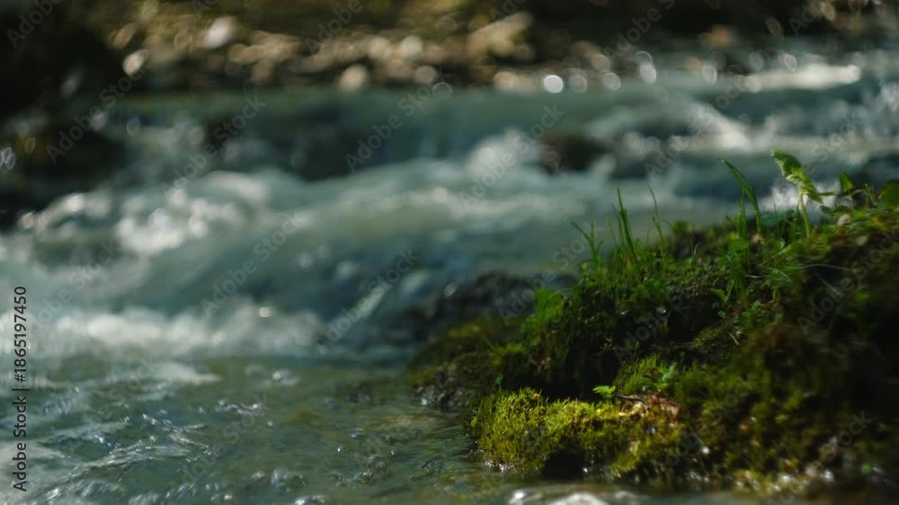 custom made wallpaper toronto digitalMountain river with stone rapids and splashes at spring day. Background of fresh water with fast rapids in wild river. Natural wonder, quiet place for green tourism concept
