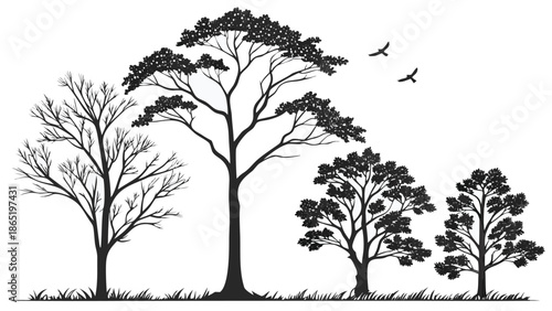 A serene landscape depicting various trees and flying birds against a white background silhouette high quality
