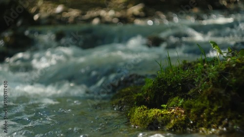Wallpaper Mural Mountain river with stone rapids and splashes at spring day. Background of fresh water with fast rapids in wild river. Natural wonder, quiet place for green tourism concept Torontodigital.ca