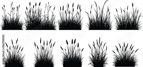 Set of Black Silhouette Wild Grass and Reeds Field Plants in Various Poses Isolated on White Background for Nature Landscape Design
