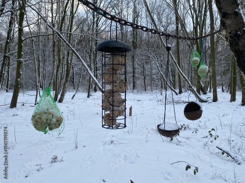 Wallpaper Mural Vogelfutterstationen hängen in einem verschneiten Wald zwischen Bäumen. Das Motiv steht für Winter, Naturschutz, Vogelfütterung, Ruhe und Fürsorge für Wildtiere. Torontodigital.ca