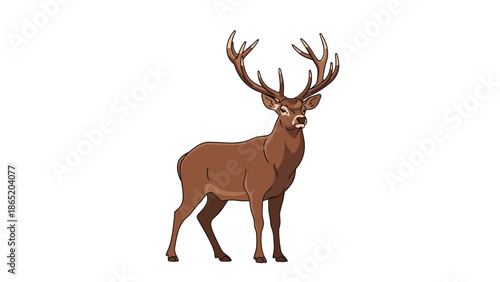 Majestic red deer stag with impressive, branching antlers, standing gracefully and looking forward, isolated on a clean white background.