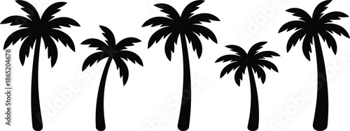 Exotic black palm tree silhouettes isolated on white background, tropical beach nature icons for summer design, travel branding, and decoration