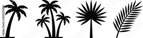 Black tropical palm tree and leaf silhouettes isolated on white background, exotic nature elements for summer design and travel branding