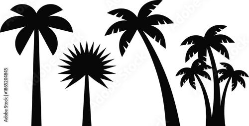 Black palm tree silhouettes set isolated on white background, tropical exotic plants collection for summer design, travel branding, and decoration