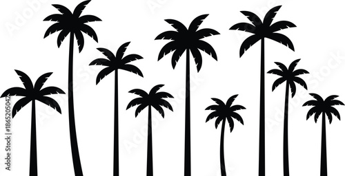 Collection of black palm tree silhouettes isolated on white background, tropical forest icons for summer design, travel branding, and decoration