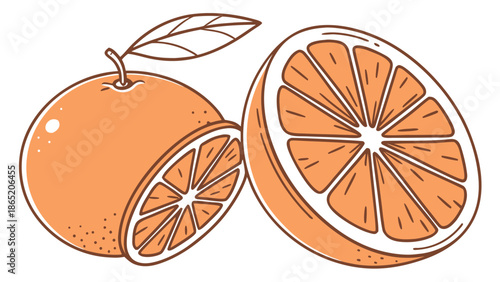 A vibrant illustration depicts whole and sliced oranges showcasing their segments and texture silhouette high quality