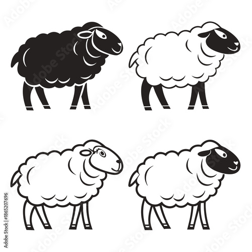 Charming black and white sheep illustrations depict fluffy livestock with a bold contrasting silhouette high quality