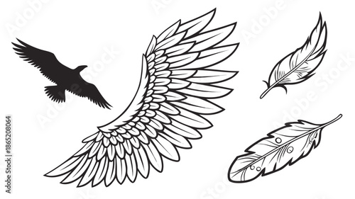 A striking composition of bird wings and feathers rendered in a bold graphic style silhouette