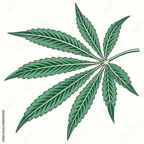 A vibrant green cannabis leaf illustration stands out against a white backdrop showcasing a detailed silhouette
