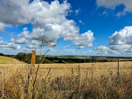 View of field in autumn with blue sky above