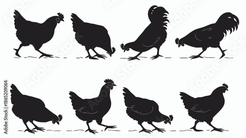 A collection of various hen poses displayed in a striking black and white silhouette high quality