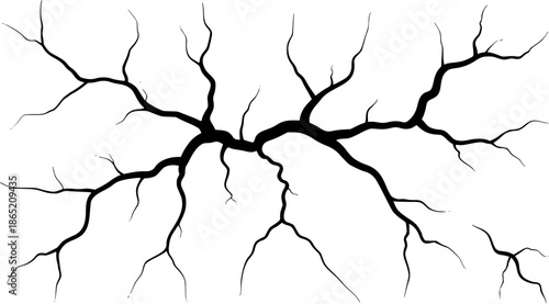 Black branching fractal pattern resembling cracks or veins white abstract