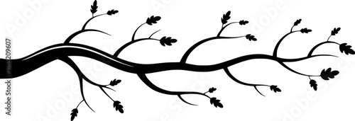 Black silhouette of a tree branch with oak leaves against a white