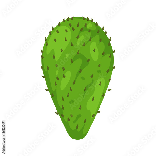 Illustration of Green Nopal Cactus Pad