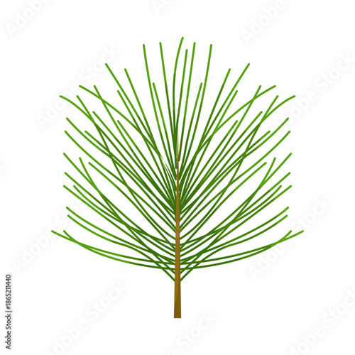 Illustration of Pine Tree Branch with Green Needles