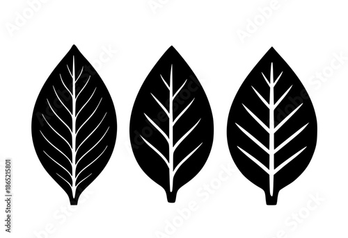 3 tobacco leaves illustration icons, silhouette, transparent background