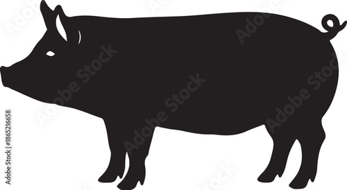 Black Silhouette of a Pig with a Ring in Its Nose Standing on Four Legs also transparent background animal