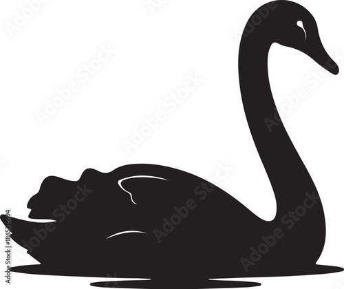 Black Swan Silhouette Resting on Water Surface with Reflective Ripples also transparent background reflection