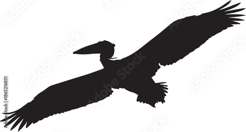 Silhouette of a Large Bird in Flight Against a White Background also transparent background wings beak