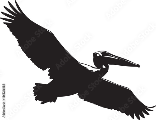 Silhouette of a Pelican Flying with Wings Spread Wide and Long Beak Extended also transparent background