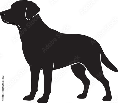 Black silhouette labrador retriever dog standing on white background animal