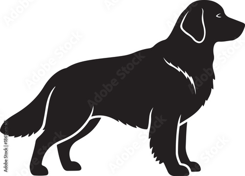 Black silhouette golden retriever dog standing on white background animal