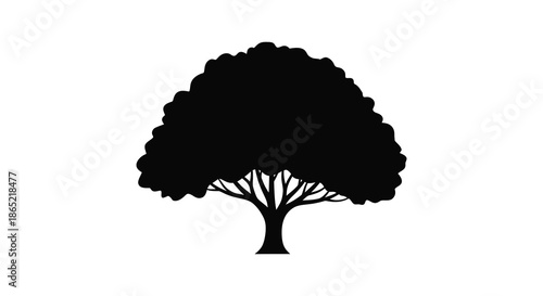 A striking depiction of a full dark tree form against a white background showcasing a silhouette
