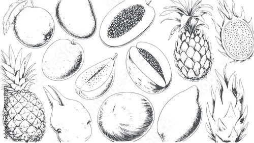 Detailed black and line of various tropical fruits