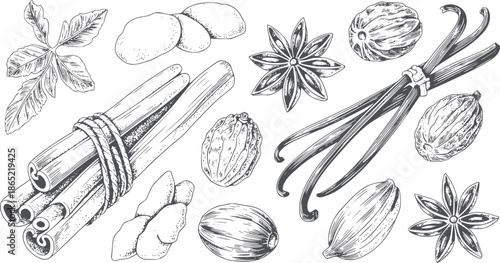 Detailed monochrome line of assorted spices and herbs editable cinnamon staranise
