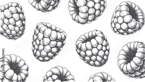 Detailed monochrome of clustered seed pods in various orientations black