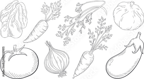 Hand drawn line vegetables set including carrot onion tomato eggplant pumpkin editable