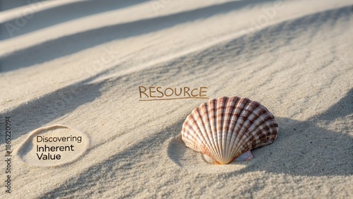 A solitary, perfectly formed seashell resting on a textured, sun-drenched sandy beach