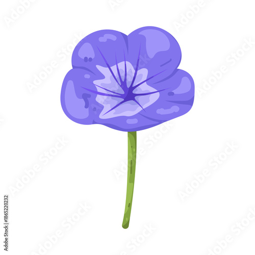 Illustration of purple geranium flower