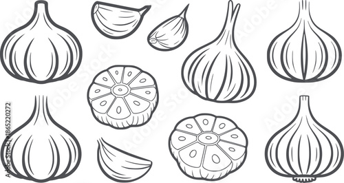 Whole and sliced garlic bulbs and cloves black and line vegetable food