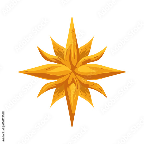 Illustration of Golden Eight Point Star