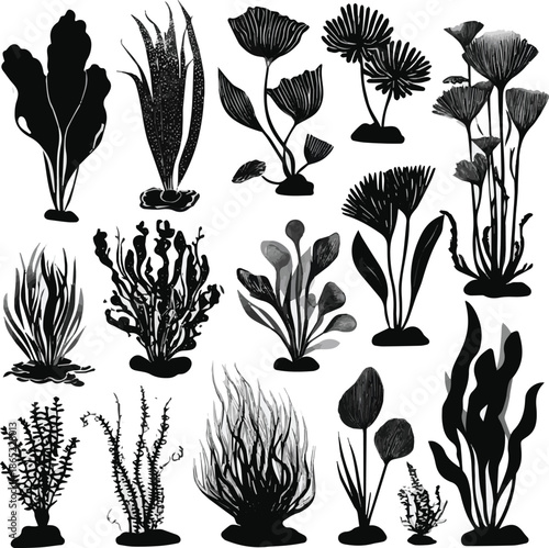 Create a Various types of stylized aquatic plants in black silhouette design showcasing diverse shapes and textures on vector illustration