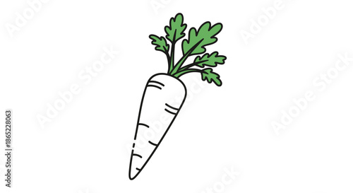 Simple illustration of a white daikon radish with fresh green leaves on top against a plain white background in a clean vector style.