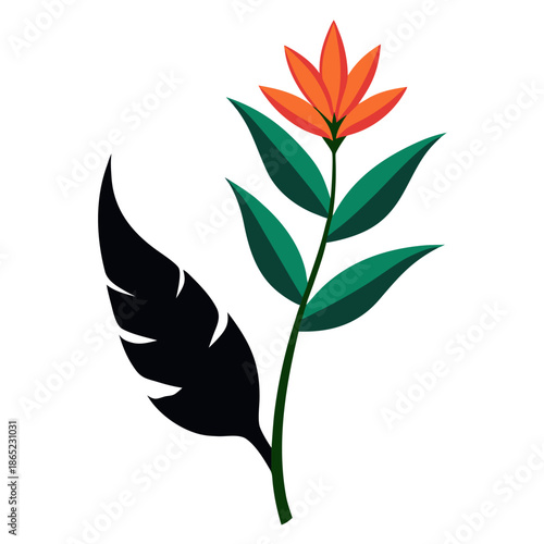 heliconia jade vine vector
