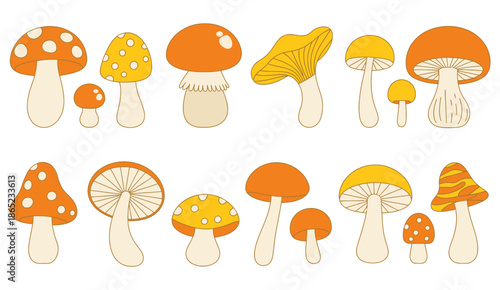 A collection of stylized retro mushrooms in orange yellow and cream colors fungus toadstool