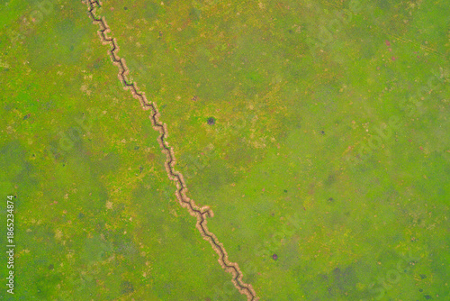 Zigzag military trench line in green grass field, defensive fortification earthworks, war concept background, aerial top down drone shot