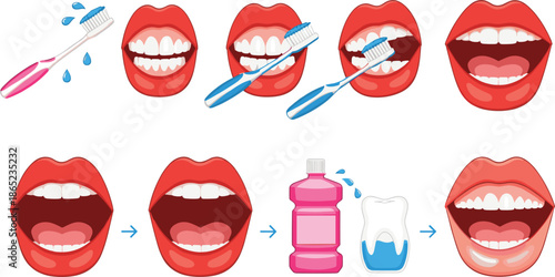 Teeth Brushing and Oral Hygiene Steps Illustration Showing Toothbrush Mouthwash Clean Smile Flat Vector Set