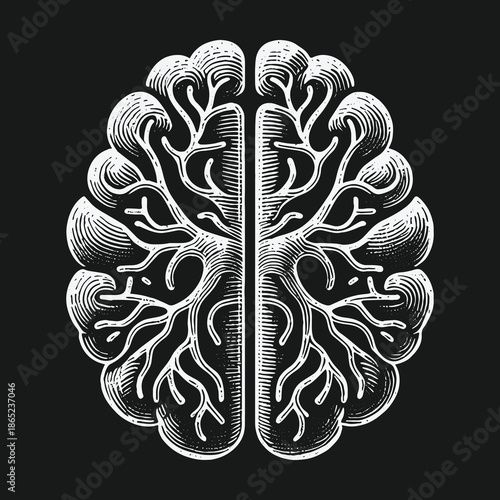 Engraved Brain Illustration: A Focus on Cognitive Function and Intelligence.