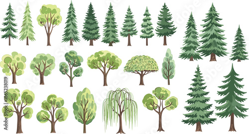 Tree collection illustration, coniferous and deciduous types, foliage styles, botanical clipart, landscape vector, nature design, forest elements